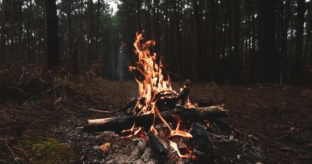 prazo de defesa de multa ambiental